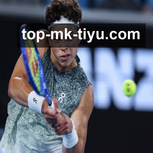 MK体育电脑版使用指南：功能亮点解析及操作体验分享