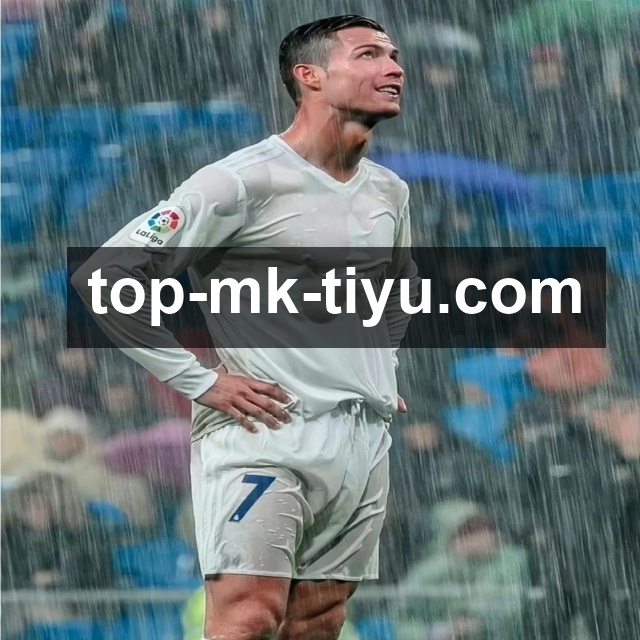 MK体育网页版使用指南：轻松掌握核心功能，畅享优质体育资讯及活动福利